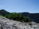 Tatry